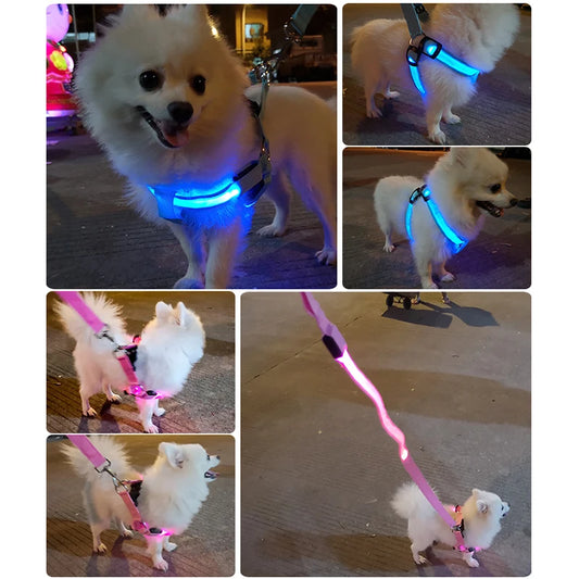 Night Safety Dog Harness